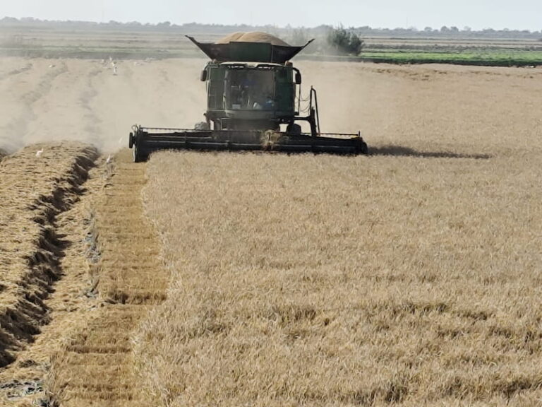 Servicios agrícolas profesionales